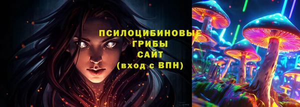 винт Арсеньев