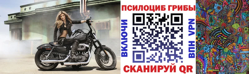 Псилоцибиновые грибы прущие грибы  гидра ССЫЛКА  Пушкино 